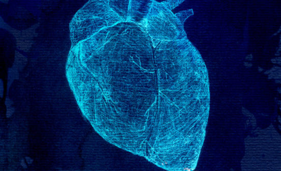 Diagnostic Cardiomyopathy & the Digital Heart Project