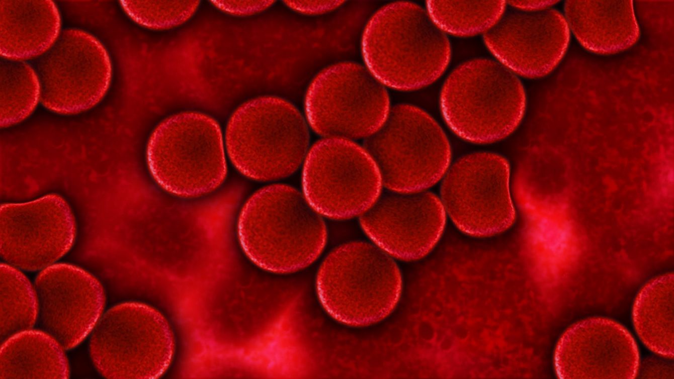 red blood cells