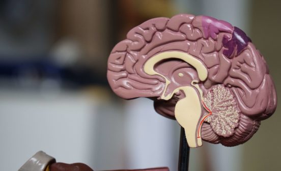 InnovationTherapeutic Brain responses uncover secret to bariatric surgery success