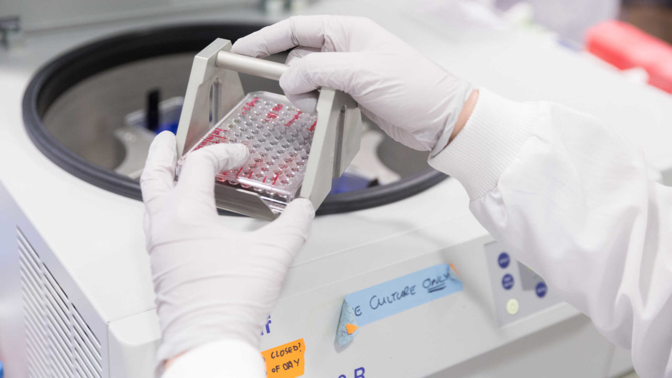 scientist preparing samples in a plate centrifuge