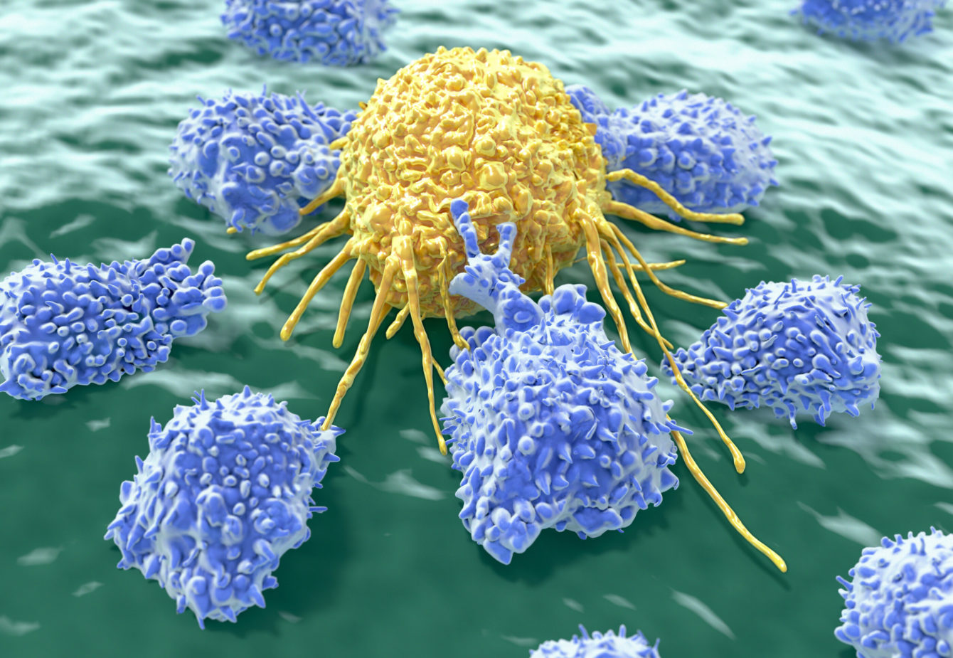 Lymphocytes attacking a cancer cell