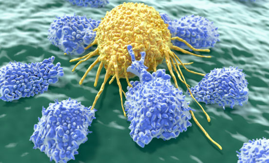 Lymphocytes attacking a cancer cell