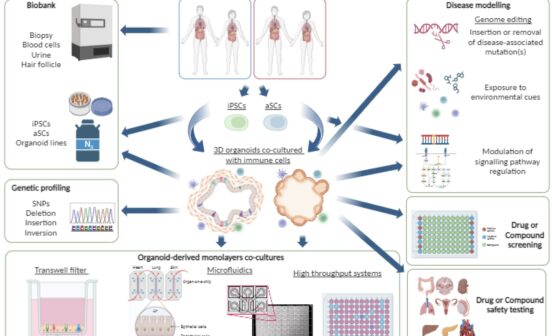 Therapeutic Facilitating access to organoid research for advanced disease modelling