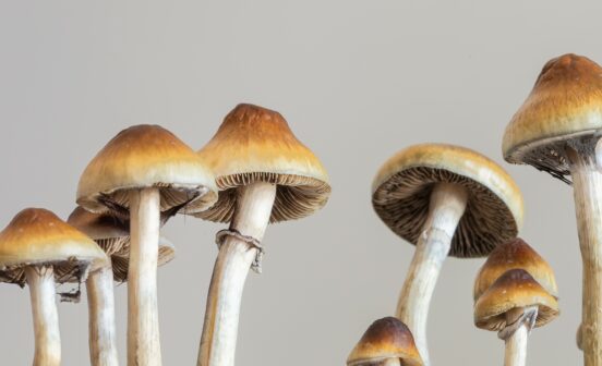 Prevention New trial to use psilocybin to target relapse in opioid addiction